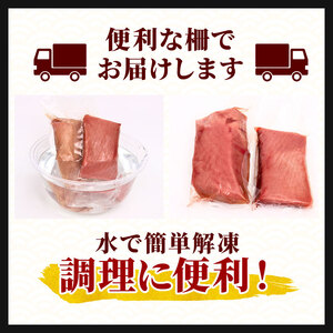 【 まぐろ 】 キハダマグロ 赤身 2kg