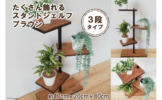 
たくさん飾れるスタンドシェルフ 3段タイプ ブラウン（天然木/完成品）/ 新星金属製作所 / 大阪府 守口市
