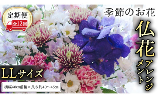 【 定期便 12か月 】季節の お花 の 仏花 アレンジメント LL 仏花 生花 お供え [CT148ci]