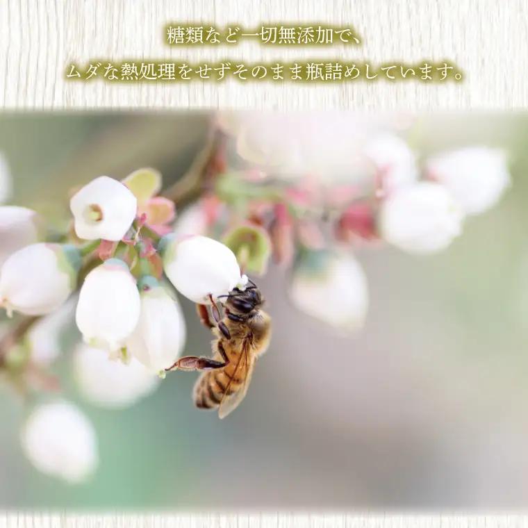 数量限定】季節で移ろう田舎はちみつボトル3種セット　各280g（ピタッとボトルB3）【茨城県共通返礼品／五霞町】(HO-6)