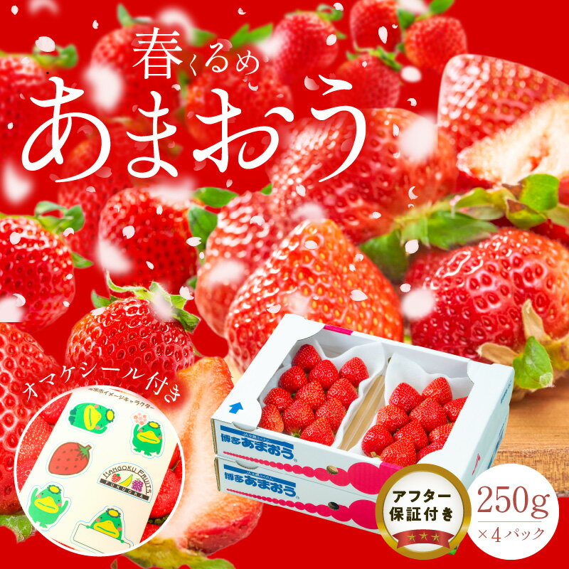 【ふるさと納税】 福岡産 春 あまおう 250g × 4パック 合計 1kg シール付き 冷蔵 濃厚 甘い 果汁 アフター保証 安心安全 国産 いちご 果物 アレンジ おやつ フルーツ スイーツ スムージー ジャム 南国フルーツ お取り寄せ 福岡県 久留米市 送料無料