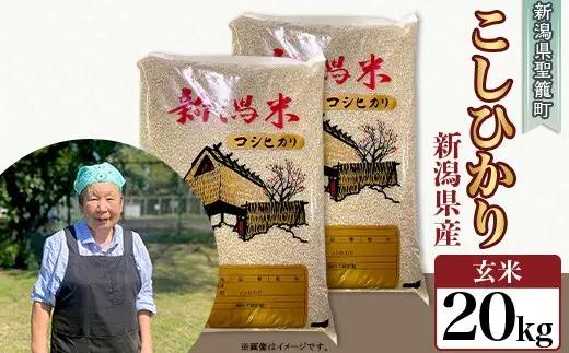 【玄米】新潟県産コシヒカリ20kg（特別栽培米）近藤農園