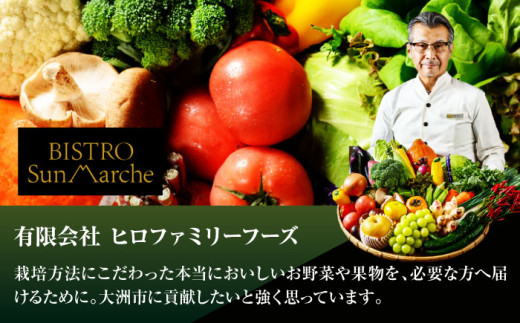 野菜 定期便【全12回】シェフの目線で厳選！12ヶ月 定期便 大洲市/（有）ヒロファミリーフーズ [AGBX005] 野菜 セット やさい yasai 愛媛県産 産地直送 おすすめ 人気 お取り寄せ 送料無料 贈答 ギフト 旬野菜 食材セット 宅配 おまかせセット お任せ 野菜 詰め合わせ お試しセット 新鮮 こだわり 厳選 12回定期便 12か月定期便