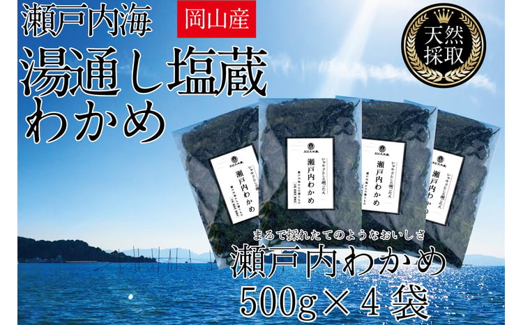 湯通し塩蔵 瀬戸内 わかめ 500g×4袋【岡山 瀬戸内海 天然 塩蔵】