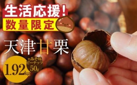 この道50年の職人が焼く､やさしい甘みたっっっぷり！｢天津甘栗｣1.92kg（1.6kg+320g）生活応援 みそ味ピーナッツ付き 焼きたて 栗 くり 栗爪 殻付き お菓子 おつまみ 人気 高リピート 小分け 栗ご飯 栗きんとん 甘露煮 増量 訳あり H045-071