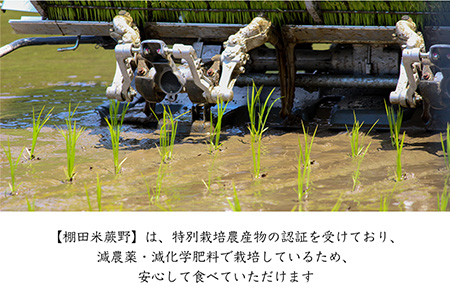 特別栽培棚田米「蕨野」5kg×４袋(合計20kg) 家庭排水が一切入らない自然水で作られたお米 10日に1回精米で新米のような味わい