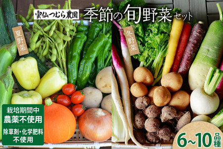 季節の旬野菜セット 6～10品種 詰め合わせ 産地直送 [雲仙つむら農園 長崎県 雲仙市 item2200] やさい 西洋野菜 根菜 季節野菜 食べ比べ