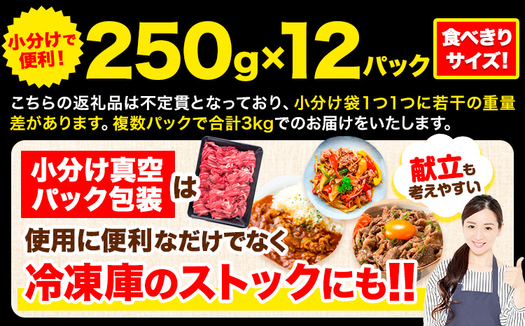 牛肉 肉 黒毛和牛 切り落とし 訳あり 大容量 小分け【定期便】 3kg 1パック 250g 12回 《お申込月の翌月より発送》岡山県産 岡山県 笠岡市 お肉 にく カレー 牛丼 切り落し 切落し 黒