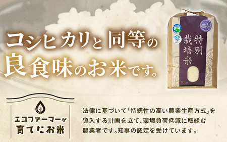 【令和7年産】化学肥料不使用 特別栽培米 虹のきらめき 精米 10kg × 1袋 / 白米 米 福井県あわら市産 美味しい 特別栽培米 減農薬 安心な米 旨味 甘み もっちり 冷蔵保管米 [aw010