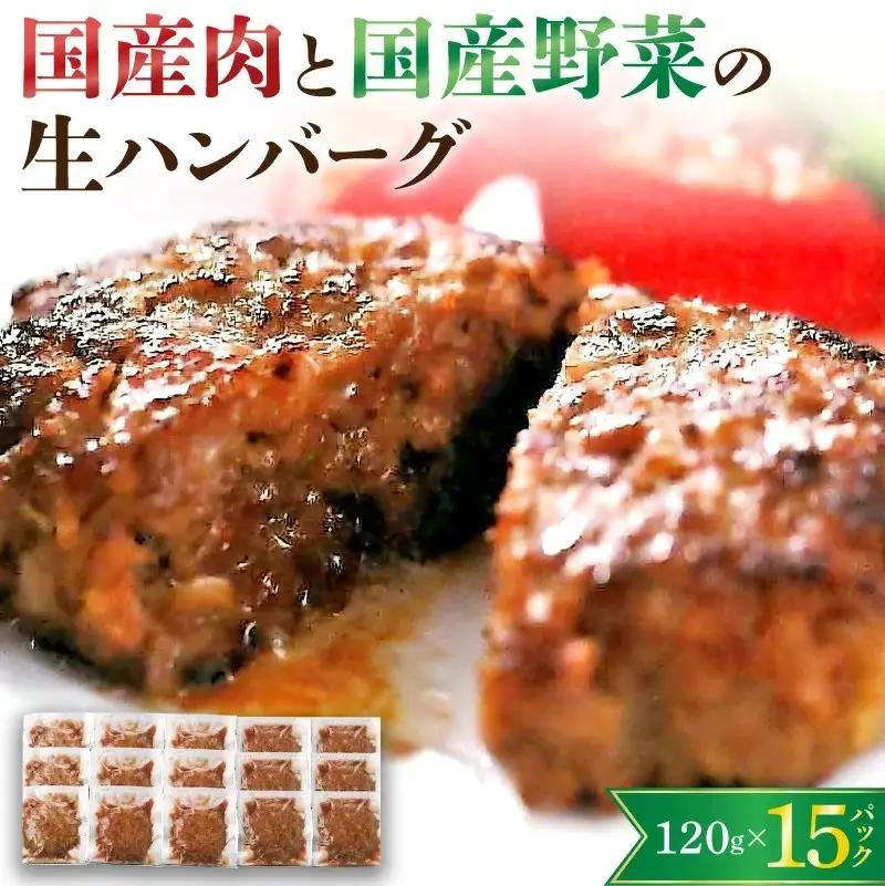 国産肉と国産野菜の生ハンバーグ　１２０ｇ×１５パック　0002-2204