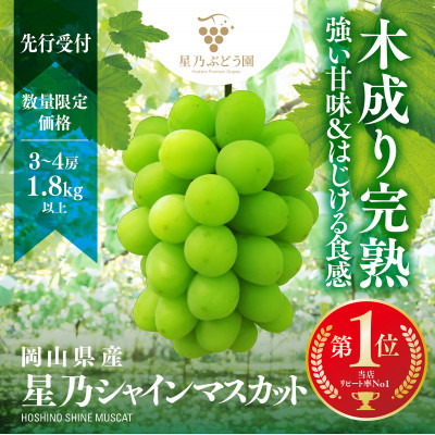 星乃シャインマスカット(岡山県産) 3～4房(1.8kg以上)【配送不可地域：離島・北海道・沖縄】【1418932】