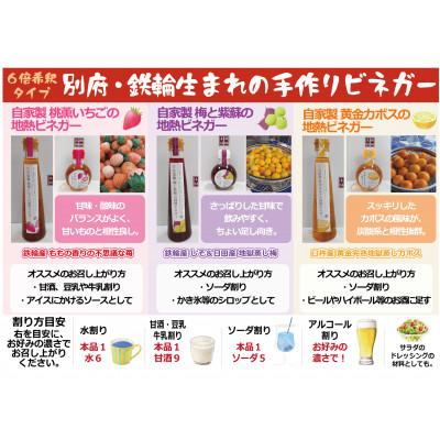 ふるさと納税 別府市 地熱ビネガー レギュラーボトル3種セット (桃薫いちご・黄金かぼす・梅と紫蘇) |  | 02