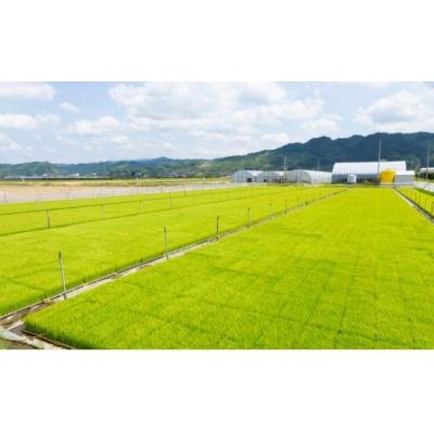 ふるさと納税 うきは市 みずほファーム オリジナルヒノヒカリ「瑞穂の一」白米3kg |  | 03
