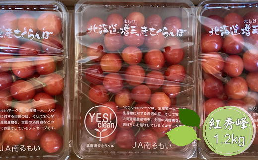 8-020-011　尾久果樹園のさくらんぼ 紅秀峰（2L）1.2kg