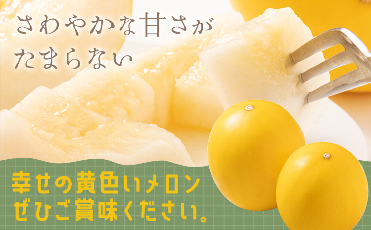 キンショーメロン 4kg(6〜9玉) メロン《4月上旬-7月上旬頃出荷》熊本県 菊池市 果物 フルーツ 金鐘 ノーネットメロン 黄色いメロン 菊池市産 熊本県産 九州産 送料無料