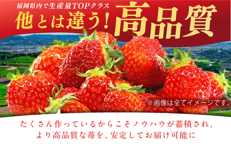 【2025年2月上旬より発送】あまおうG等級 1ケース（270g×2パック） イチゴ いちご 苺 福岡 広川町 / JAふくおか八女農産物直売所どろや[AFAB069]