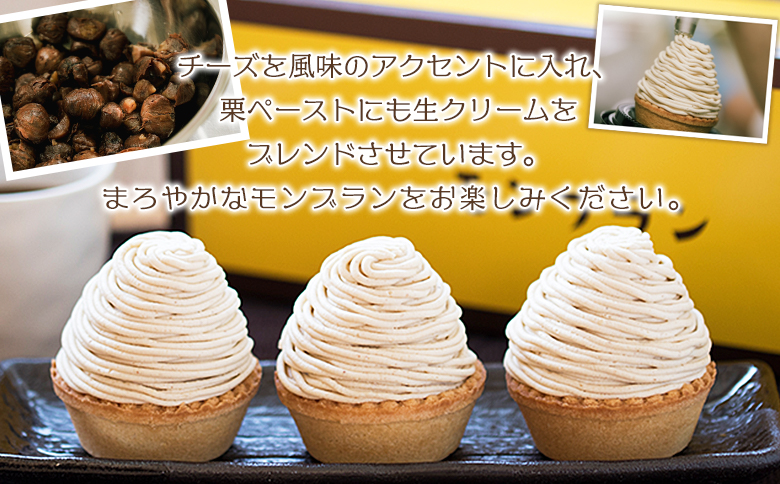 ＜城川オリジナル モンブラン 2個入り【2回定期便】＞ 洋菓子 ケーキ おかし マロン くり クリ 国産 和栗 ペースト クリーム 渋皮煮 生クリーム チーズ タルト メニークエスト 愛媛県 西予市 