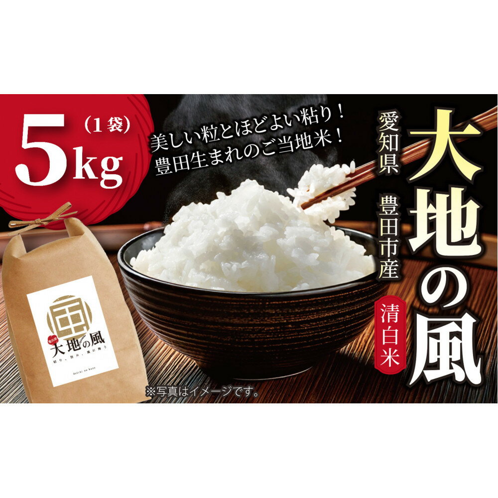 【ふるさと納税】【令和7年産】豊田市産「大地の風」精米5kg（1袋） | お米 こめ 白米 食品 人気 おすすめ 送料無料