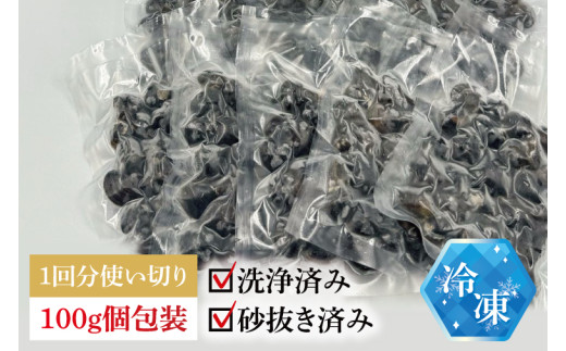 【4ヶ月定期便】涸沼産冷凍しじみ中粒３kg（100g×30p）【シジミ 中粒しじみ 産地直送 砂抜き済み 砂抜き 小分け包装 味噌汁 みそ汁 茨城県】（CA-17）