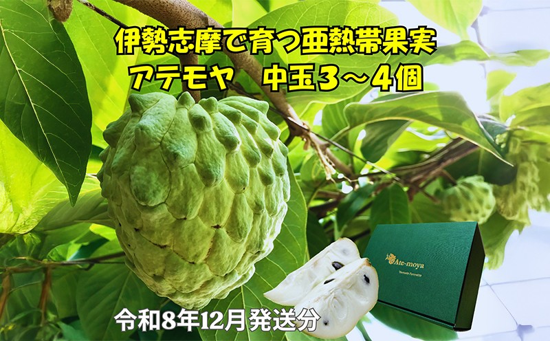 
                  【予約注文/2026年12月より発送】 アテモヤ 中玉３～４個 約1.2kg 果物 くだもの フルーツ  期間限定 季節限定 森の アイスクリーム デザート ギフト プレゼント 贈り物 贈答 贈答用 三重県 伊勢 志摩 南伊勢町
                
