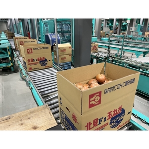 【予約：2025年9月上旬から順次発送】JAきたみらい産 玉ねぎ Lサイズ 20kg ( タマネギ たまねぎ 野菜 )【210-0002】