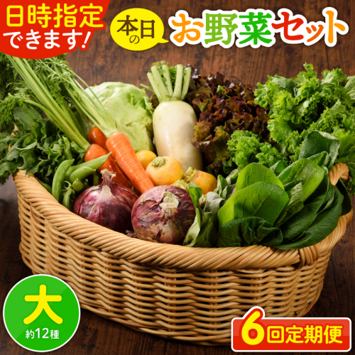【6回定期便】日時指定OK！本日のお野菜セット 〈大サイズ/約15～17種〉 4人以上用_A0053-011