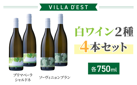 【限定50セット】白ワイン4本セット（B）（ヴィラデスト）