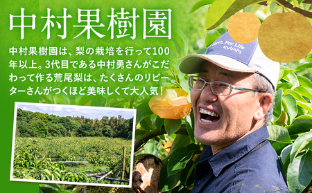 梨 旬の梨 約 2.8kg ～ 3kg 豊水 あきづき のいずれか 旬 中村果樹園 《8月下旬-9月中旬頃出荷》熊本県 荒尾市 なし フルーツ 果物 新鮮  美味しい梨 旬の梨 ジューシー梨 フルーツ