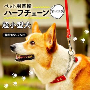 【 ペット 用 】 首輪 ハーフチェーン 超小型犬 首輪 オレンジ 22-27cm