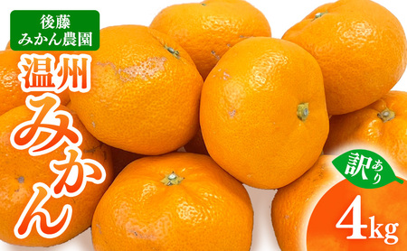 【 訳あり 】 後藤みかん農園 温州みかん 4kg 宮川 片山 果物 くだもの 旬のフルーツ 旬の果物 季節のフルーツ 季節の果物 柑橘 柑橘類 キズ 不揃い ご家庭用 静岡 浜松市