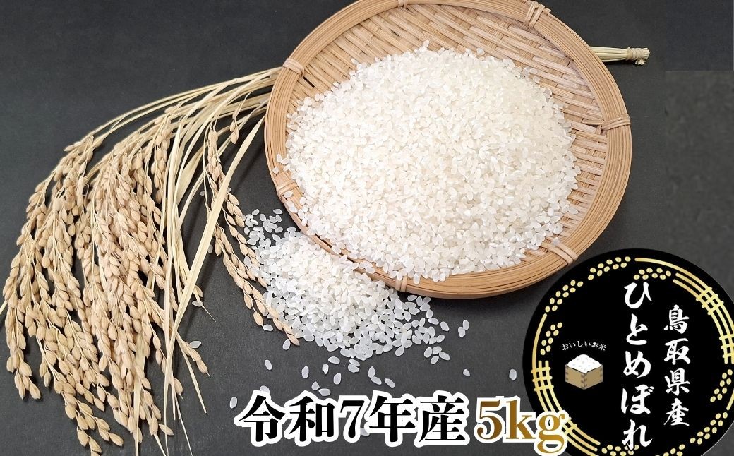 
                  鳥取県産「ひとめぼれ」精白米5kg（令和7年産）
                