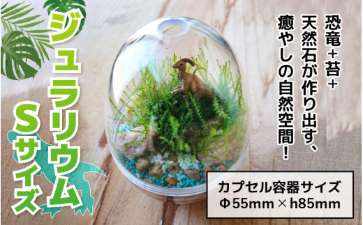 恐竜＋苔＋天然石が作り出す、癒やしの自然空間！ ジュラリウム Sサイズ | テラリウム 苔テラリウム 苔インテリア インテリアグリーン ミニチュアガーデン ジオラマ 恐竜インテリア 恐竜グッズ 癒しインテリア 癒しグッズ 観葉植物代替 卓上インテリア 天然石 インテリア雑貨 ギフト プレゼント ジュラリウム Sサイズ [A-070003]