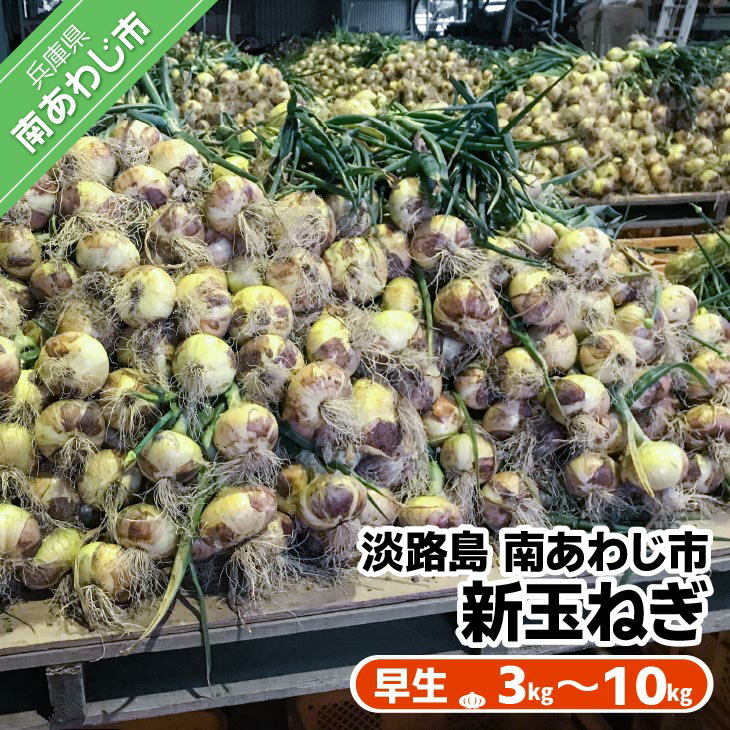 【ふるさと納税】【量が選べる！】新玉ねぎ　淡路島南あわじ市 早生　◆配送4月下旬〜5月下旬