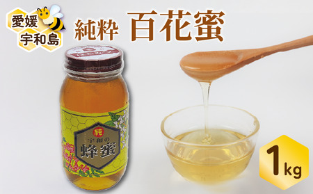 百花蜜 1kg ギフト箱入 元気や 非加熱 はちみつ 国産はちみつ 百花蜂蜜 純粋はちみつ 生はちみつ 生蜂蜜 蜂蜜 ハニー ギフト プレゼント 贈答用 数量限定 産地直送 国産 愛媛 宇和島 F023-176002
