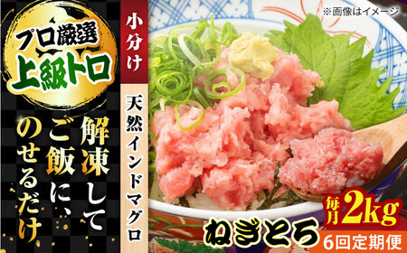 【全6回定期便】天然 まぐろ ねぎとろ 約2kg（約250g×8パック） 鮪 マグロ 魚 ネギトロ 横須賀【横須賀商工会議所 おもてなしギフト事務局（本まぐろ直売所 横須賀本店）】 [AKAK048]