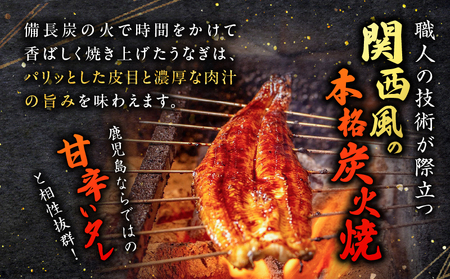 職人 が 丁寧 に 仕上げる 本格 炭火焼 鹿児島県産うなぎ の 蒲焼き 2尾 K282-001_01 魚 惣菜 総菜 冷凍