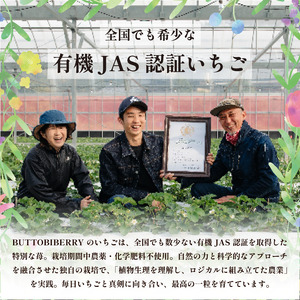 いちご 冷凍 オーガニック 1kg B品 いちご