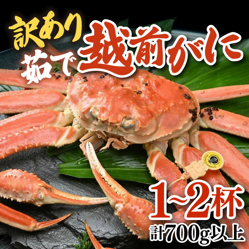 【ふるさと納税】【先行予約】【訳あり】 ズワイガニ ボイル 越前がに 1～2杯 （計700g以上）新鮮茹でたてを発送／ずわいがに 越前ガニ 越前蟹 福井 冷蔵 蟹 カニ ワケあり足折れ 足取れ 冬 旬 カニ味噌 甲羅 脚 鍋 海鮮 ※2025年11月解禁日以降発送可能時期より順次発送