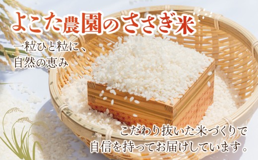 【3ヵ月定期便】令和8年産 コシヒカリ 精米 20kg 新米 米 白米 こしひかり 茨城県産こしひかり コシヒカリ 茨城産こしひかり 茨城こしひかり 茨城県産 こめ コメ お米 2026年産 ごはん 