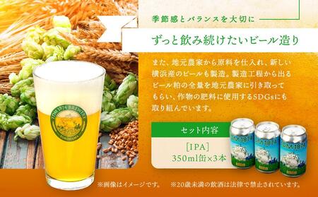 TDM 1874 Brewery クラフトビール　IPA（350ml×3本）【お酒・地ビール・酒】  数々の審査会で金賞受賞！ ABG0006