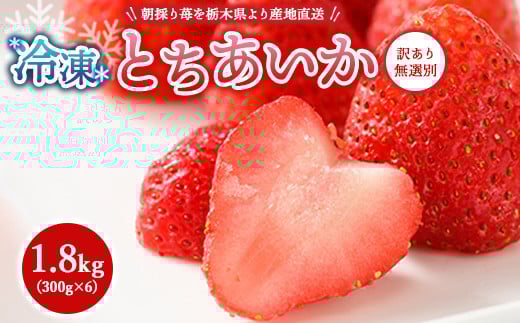 【訳あり】冷凍いちご とちあいか 1.8kg（300g×6） ｜ 生産者直送 人気の新品種 無選別訳あり 冷凍 いちご 栃木県壬生町産 果物 フルーツ 苺 イチゴ スムージー ジャム 不揃い 小分け