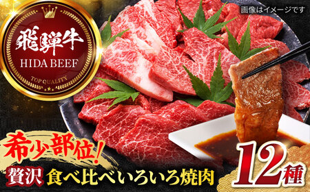 【飛騨牛】贅沢食べ比べ12種いろいろ焼肉 上バラ サーロイン 牛ヒレ 岐阜市/丸福商店 [ANBO028]