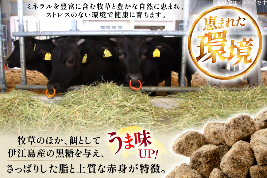 牛肉 伊江島牛 すき焼き用 牛肩ロース 250g 2p 計500g [JAおきなわAコープ ゆいランド店 沖縄県 伊江村 ie47bmw520002] 肉 ロース 和牛 黒毛和牛 小分け 冷凍 国産牛