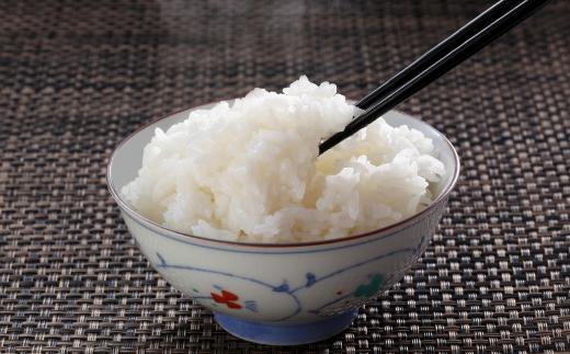 【兵庫県香美町産コシヒカリ】【令和7年産 とろかわの恋（極） 5kg×1】《無洗米仕様》 香美町産 但馬堆肥米 お米 白米 令和7年産 無洗米 ふるさと納税 返礼品 おすすめ 兵庫県 香美町 香住 ア