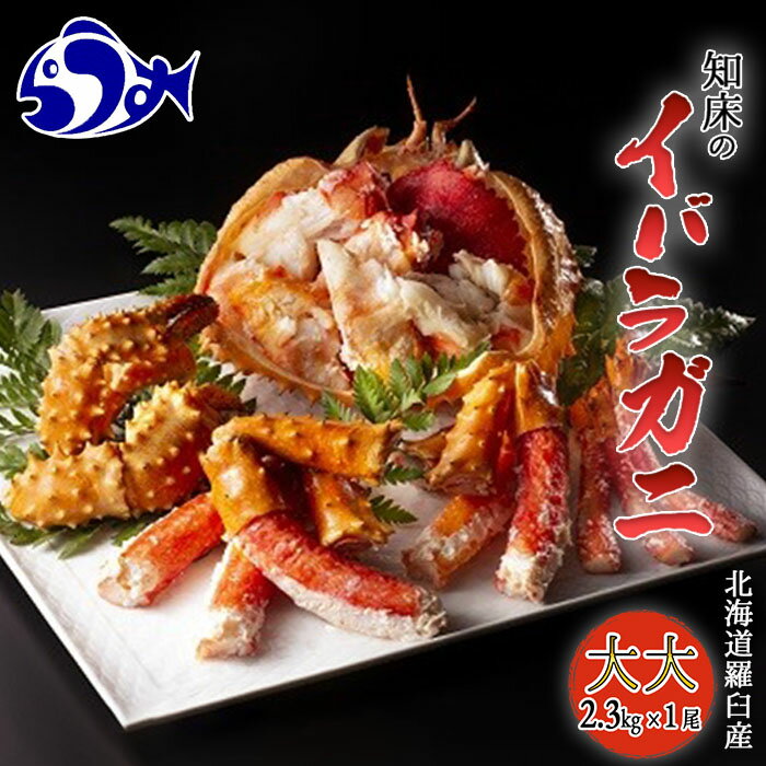 【ふるさと納税】知床イバラがに 姿(大大) いばらがに かに カニ 蟹 羅臼町 北海道産 海産物 生産者 支援 応援