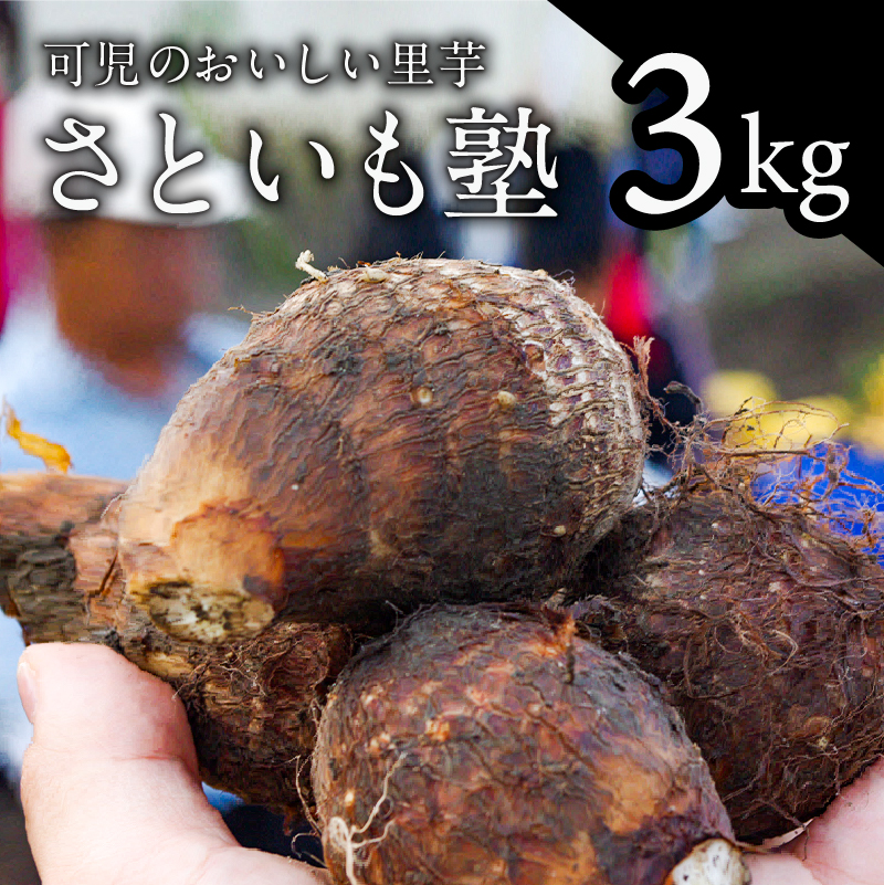 可児のおいしい里芋『さといも塾』3kg【0011-003】