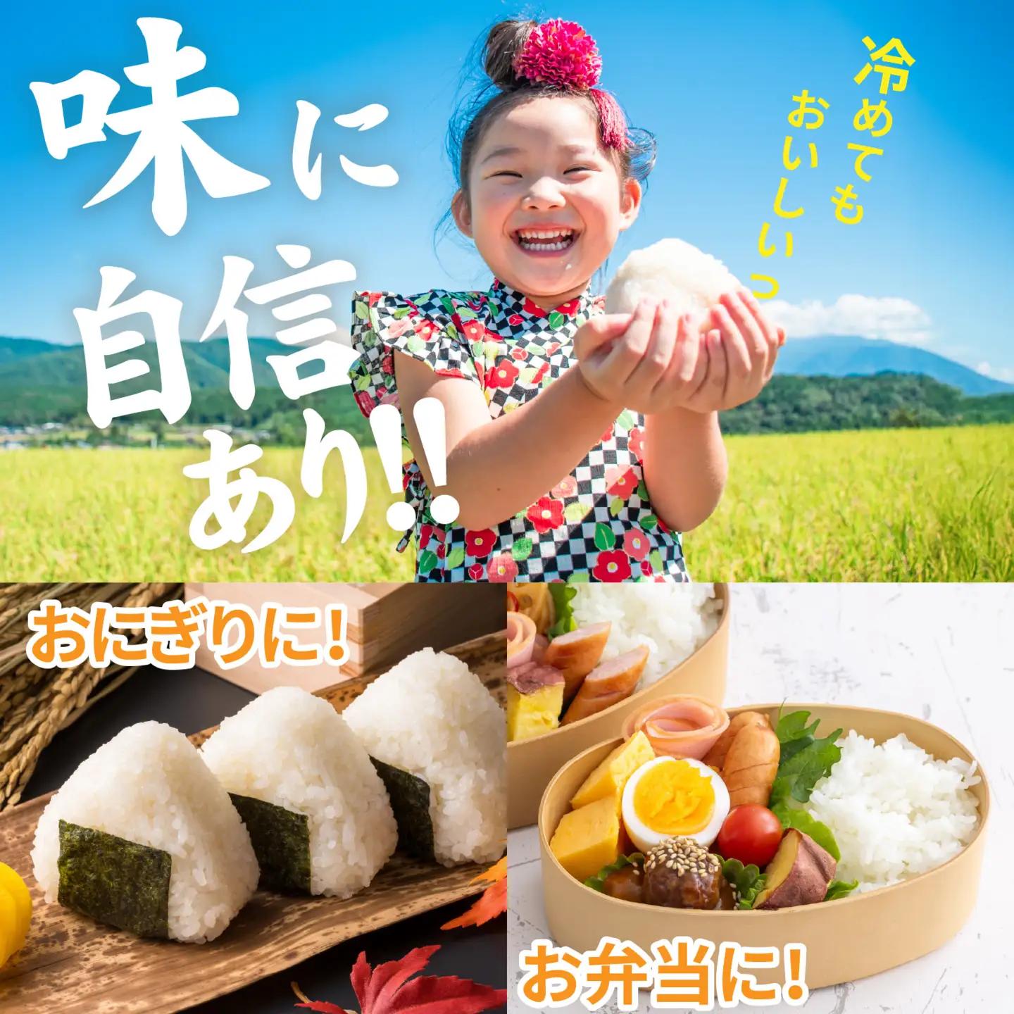 【先行予約】【みやま米】令和8年産  福井市産コシヒカリ10kg/ 天然の山水だけで育てたお米【2026年10月下旬以降順次発送予定】[C-168010] / 無洗米 色彩選別 