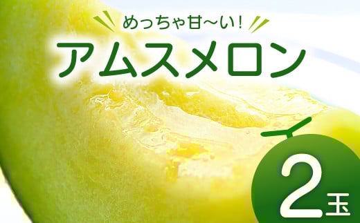 【先行予約】めっちゃ甘いアムスメロン2玉【メロン 先行予約 めろん アムス アムスメロン 早期予約 季節限定 期間限定 果物 フルーツ お土産 プレゼント 贈り物 ご褒美 贅沢】