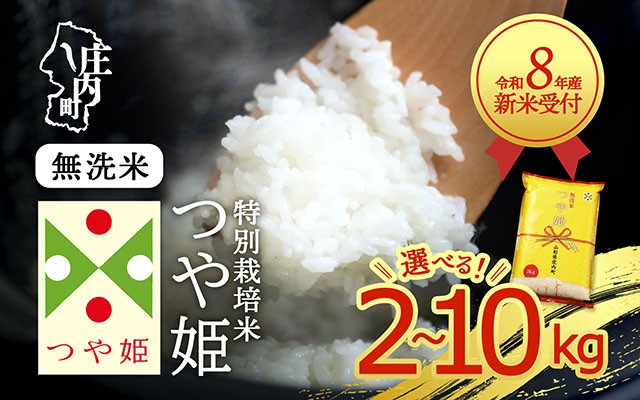
                  【新米受付】令和8年産 特別栽培米 つや姫 無洗米 選べる内容量！ 2kg / 5kg / 6kg / 10kg 2026年産 ブランド米 米 国産 山形 庄内平野 コシヒカリの原点、亀の尾発祥の地 庄内 先行受付 予約【R8.10月以降発送開始/入金期限：2026年9月15日】
                