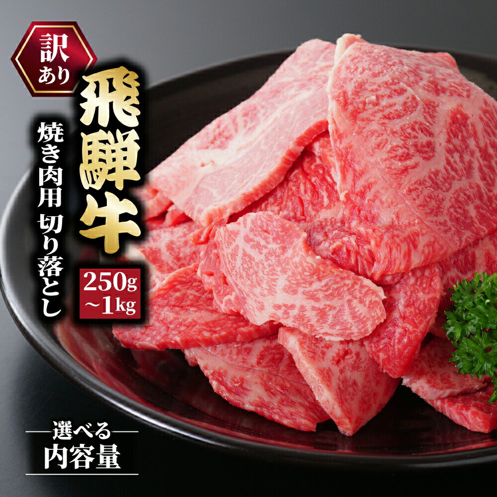 【ふるさと納税】＼選べる内容量／訳あり 飛騨牛 焼き肉用 切り落とし ｜飛騨 飛騨高山 肉 牛 牛肉 ブランド牛 おかず お弁当 夜ご飯 晩ご飯 和牛 人気 カレー 焼肉 お取り寄せ　お届け：12月中旬～1月初旬のお申込は1月中旬以降の順次出荷になる　※離島への配送不可